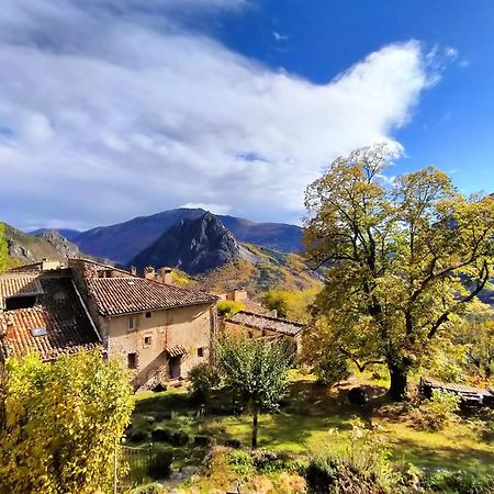 Un Cadre Magnifique, Au Coeur Du Verdon Кастеллан Экстерьер фото
